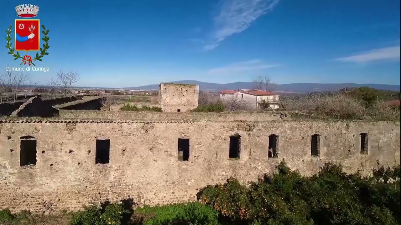 Il Platano gigante - 6 - Museo del Territorio di Curinga